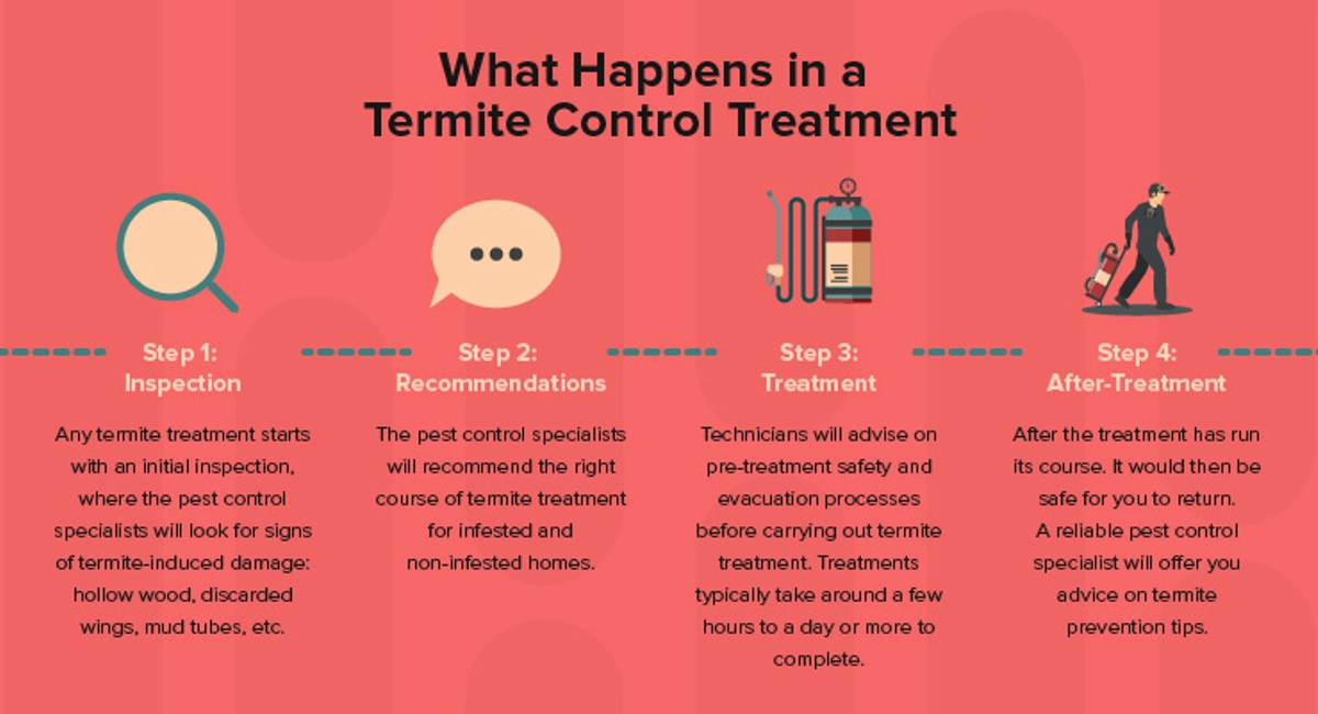 Termite Control Process