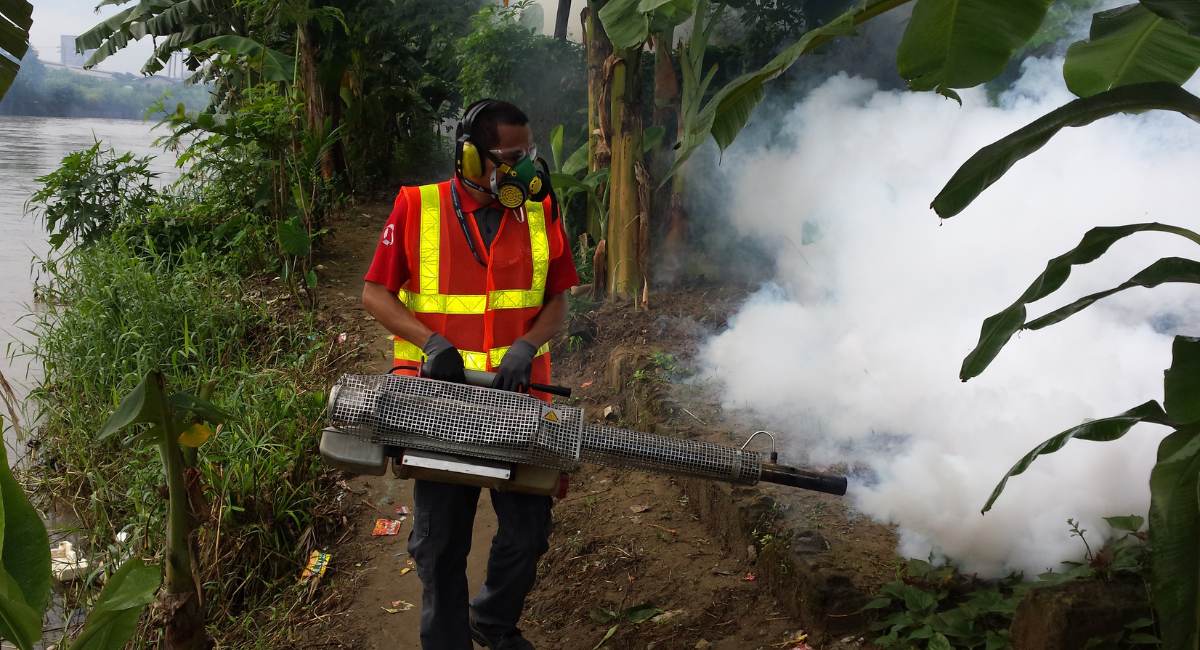 C-shine Pakistan mosquito control